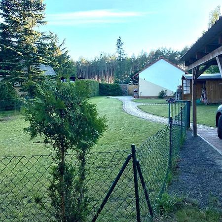 Ferienhaus Am Netzener See Ленин Екстериор снимка
